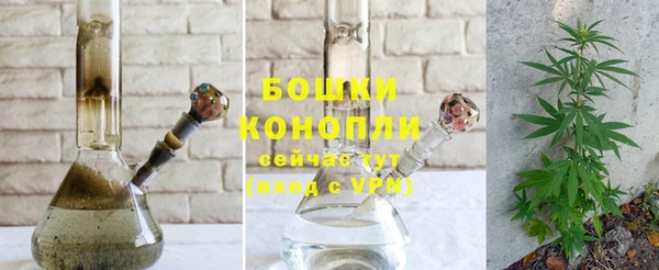 ешки Козловка